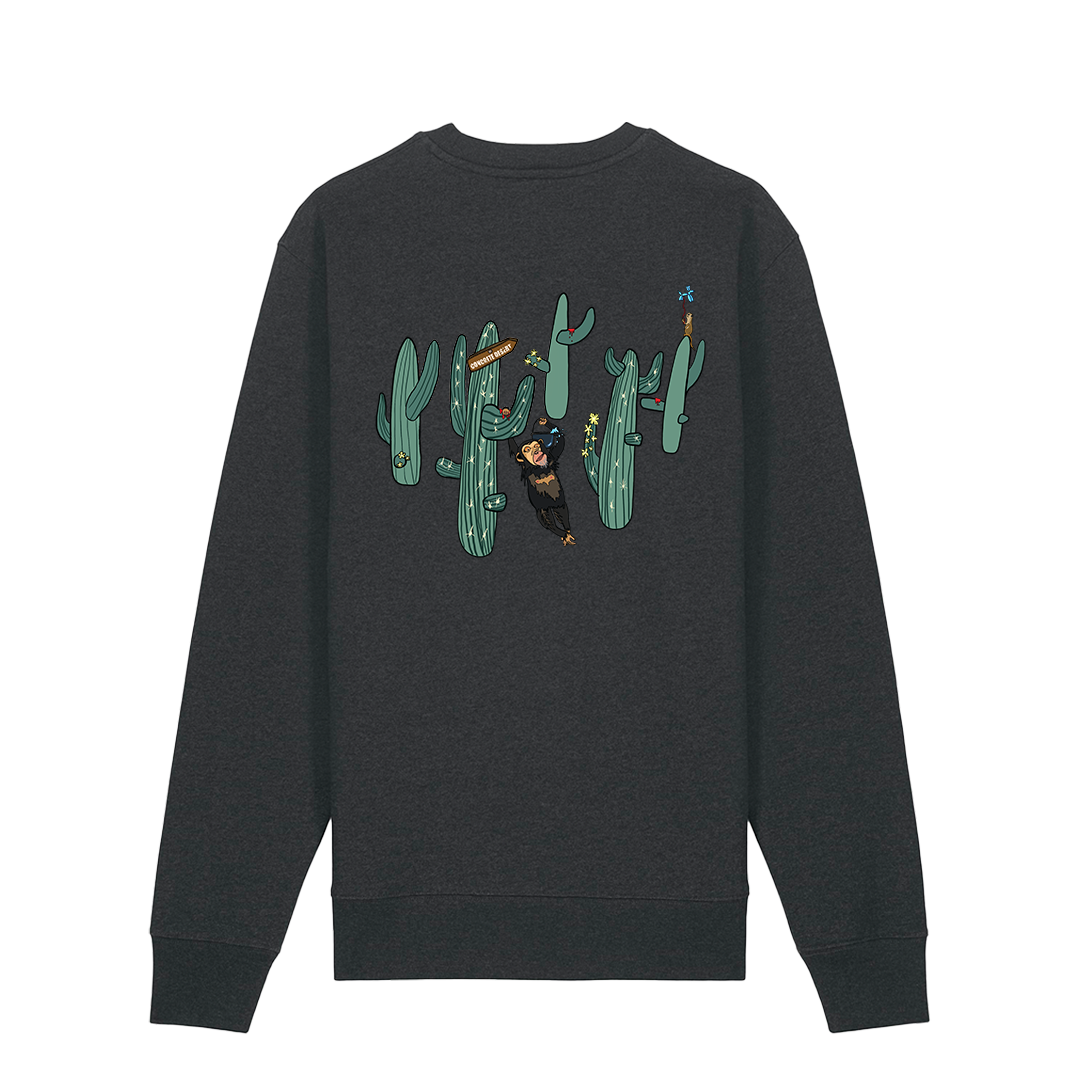SANDSTORM Sweatshirt DARK GRAY